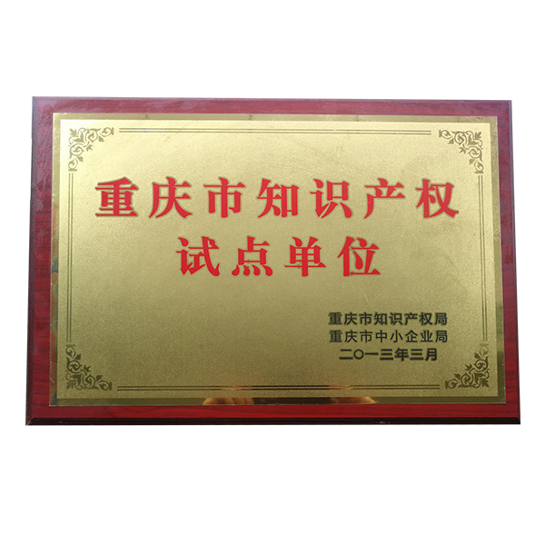 重庆市知识产权试点单位