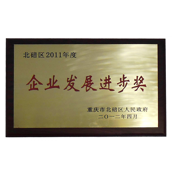 2011年度企业发展进步奖